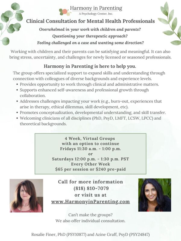 Flyer for Consultation Group for Therapists